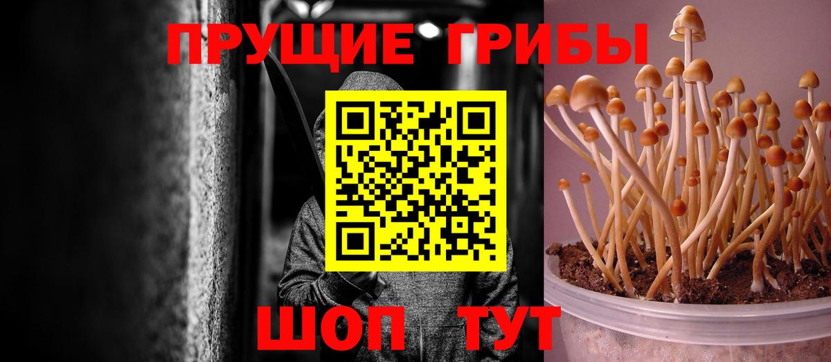 Псилоцибиновые грибы Magic Shrooms Клин