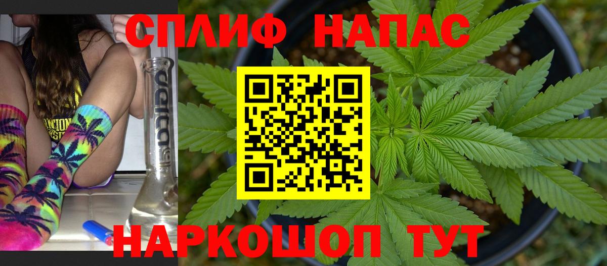 Каннабис ГИДРОПОН Клин